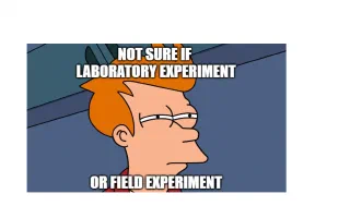 Are experiments conducted online field experiments or laboratory experiments?